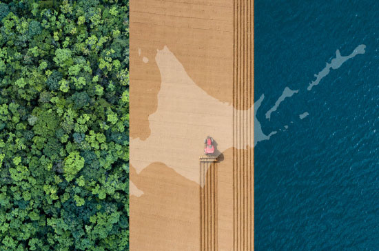 Regenerative Agricultural, Forestry and Fisheries Research